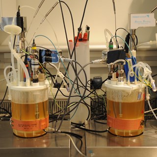 Bioneer parallel test of CellTank.JPG